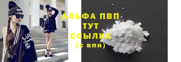 PSILOCYBIN Дмитриев