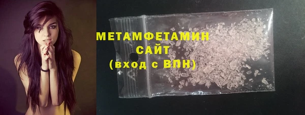 PSILOCYBIN Дмитриев