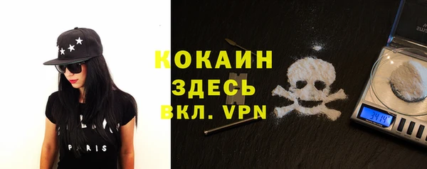 PSILOCYBIN Дмитриев
