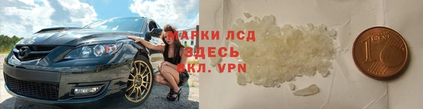 стаф Гусев