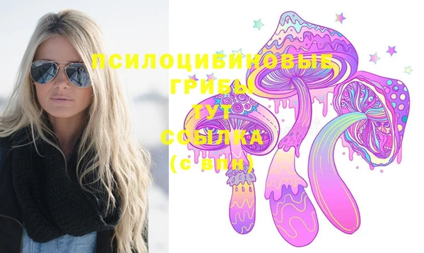 PSILOCYBIN Дмитриев