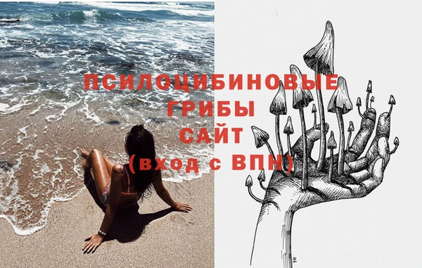 ПСИЛОЦИБИНОВЫЕ ГРИБЫ Тобольск