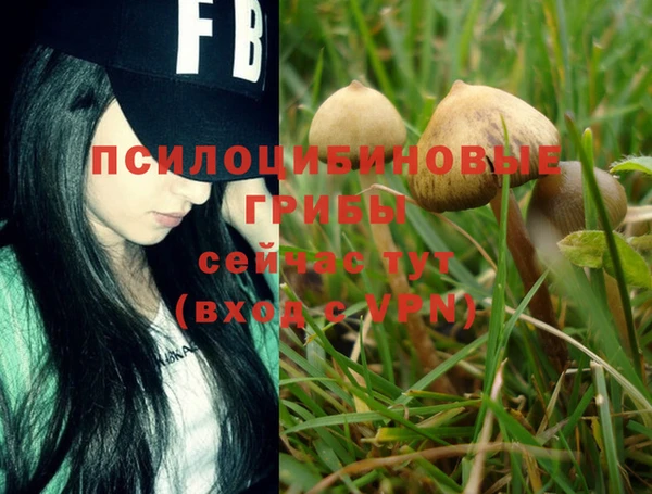 MESCALINE Дмитровск