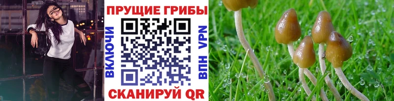 как найти наркотики  ссылка на мегу tor  мориарти Telegram  Тула  Галлюциногенные грибы мицелий 