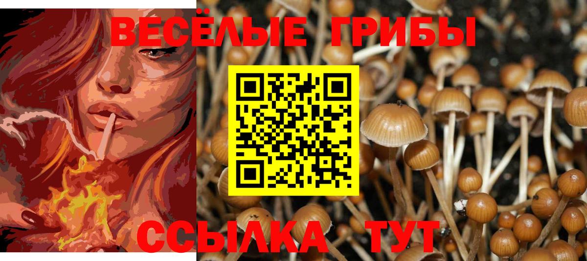 Псилоцибиновые грибы Magic Shrooms Тула